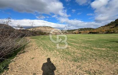 Manisa Kula Zaferiye Satılık Tarla