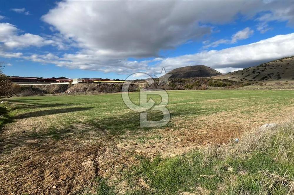 Manisa Kula Zaferiye Satılık Tarla