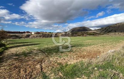 Manisa Kula Zaferiye Satılık Tarla