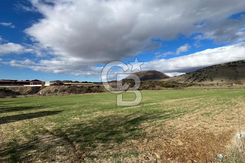 Manisa Kula Zaferiye Satılık Tarla