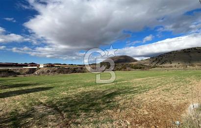 Manisa Kula Zaferiye Satılık Tarla