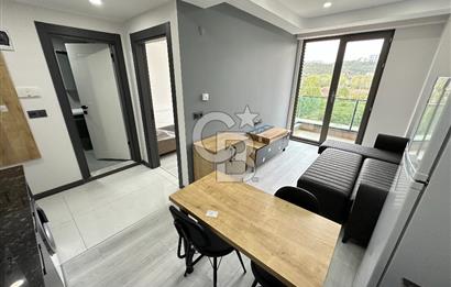 CB AKADEMİ DIAMOND Q REZİDANS KİRALIK SIFIR EŞYALI 1+1 DAİRE