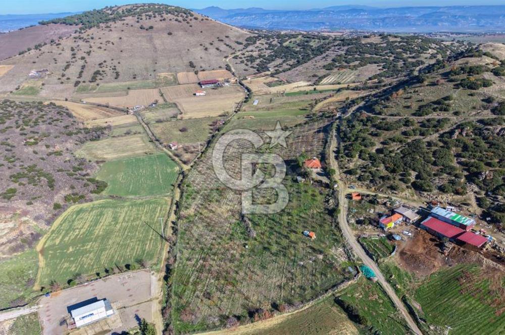 Manisa Kula Zaferiye Satılık Tarla