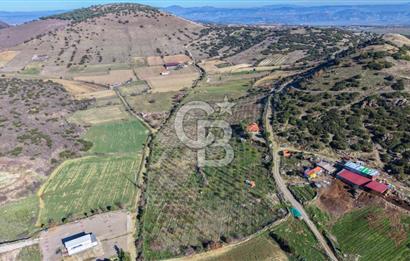 Manisa Kula Zaferiye Satılık Tarla