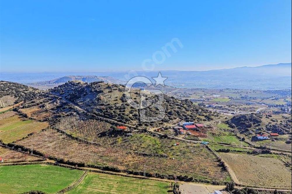 Manisa Kula Zaferiye Satılık Tarla