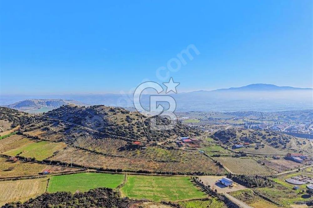 Manisa Kula Zaferiye Satılık Tarla