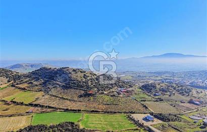 Manisa Kula Zaferiye Satılık Tarla