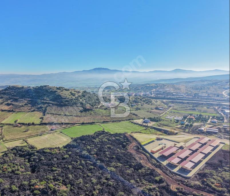 Manisa Kula Zaferiye Satılık Tarla