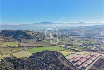 Manisa Kula Zaferiye Satılık Tarla - 10 - 324279