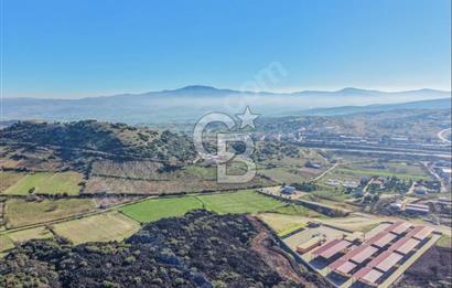 Manisa Kula Zaferiye Satılık Tarla