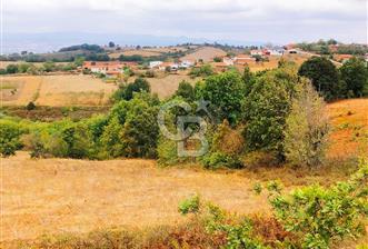 ÇANAKKALE BİGA'DA 16.660 M2 KÖYİÇİ ARAZİ - 1 - 324390