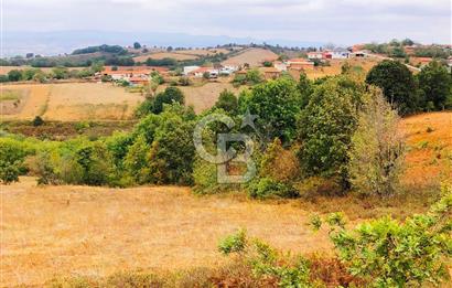 ÇANAKKALE BİGA'DA 16.660 M2 KÖYİÇİ ARAZİ