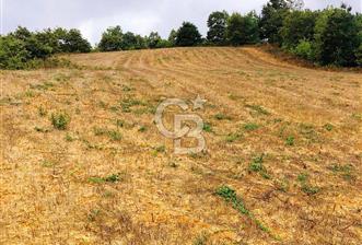 ÇANAKKALE BİGA'DA 21.000 M2 ARAZİ - 1 - 324392