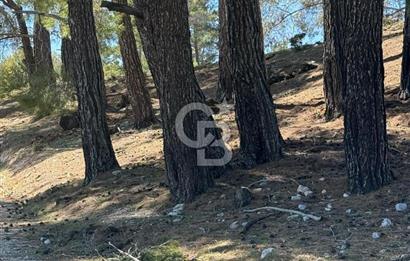 Muğla Menteşe Meke Mahallesinde 7.984 m² Satılık Tarla