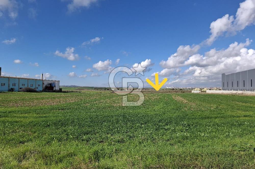 ÇORLU TÜRKGÜCÜ'NDE 1.OSB'YE KOMŞU SANAYİ İMARLI SATILIK ARSA