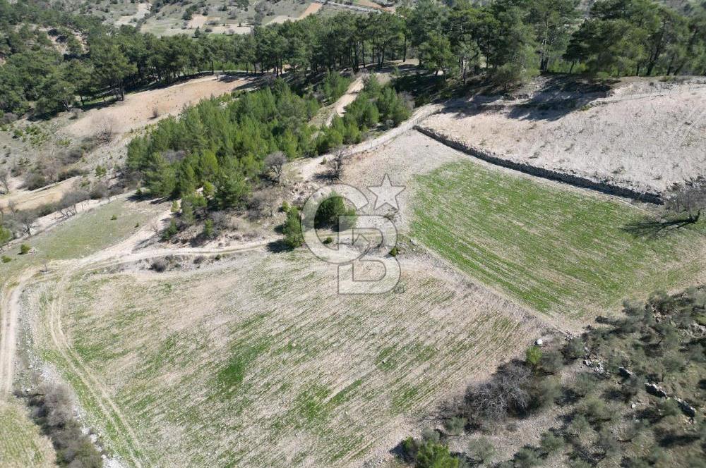 Muğla Menteşe Meke Mahallesinde 7.984 m² Satılık Tarla