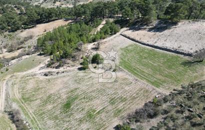 Muğla Menteşe Meke Mahallesinde 7.984 m² Satılık Tarla