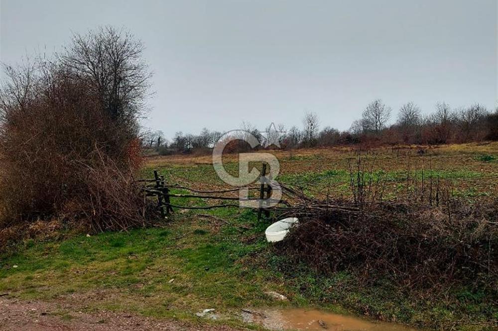 KOCAELİ, KANDIRA, EĞERCİLİ SATILIK YADA KARTAL DA DAİRE TAKASLI