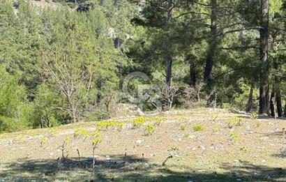 Muğla Menteşe Meke Mahallesinde 7.984 m² Satılık Tarla