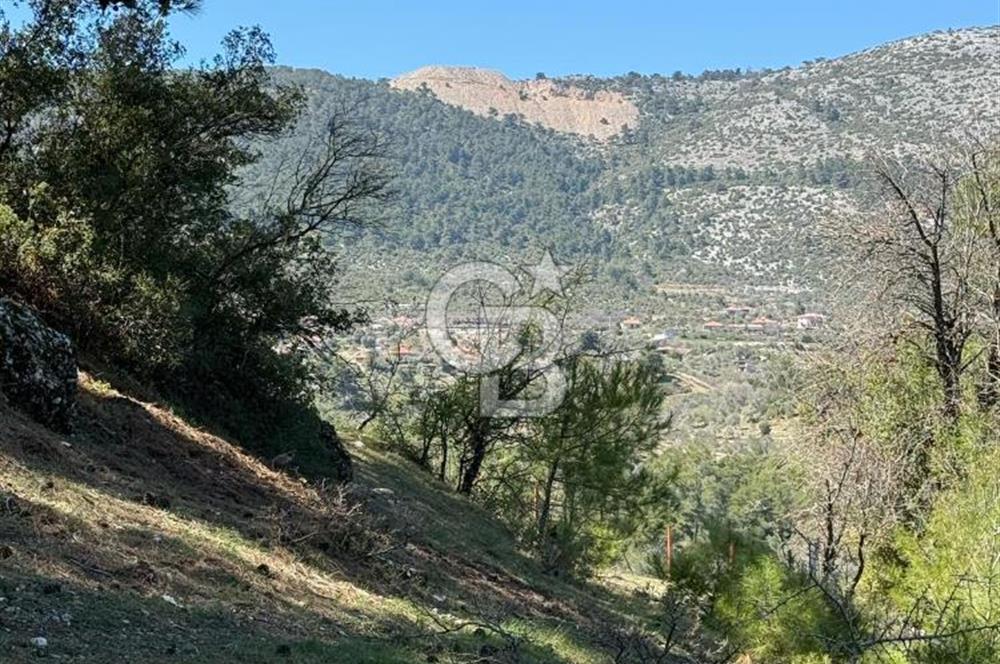 Muğla Menteşe Meke Mahallesinde 7.984 m² Satılık Tarla