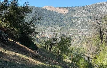 Muğla Menteşe Meke Mahallesinde 7.984 m² Satılık Tarla