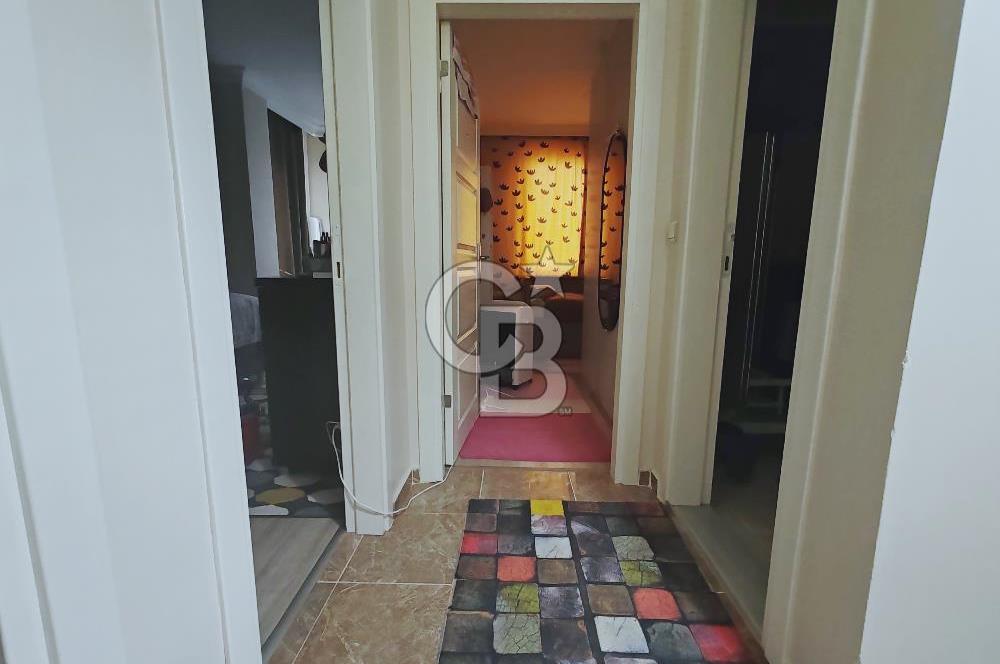 Yenidoğan safa Mah. 3+1 Arakat sa