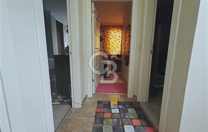 Yenidoğan safa Mah. 3+1 Arakat sa