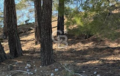 Muğla Menteşe Meke Mahallesinde 7.984 m² Satılık Tarla