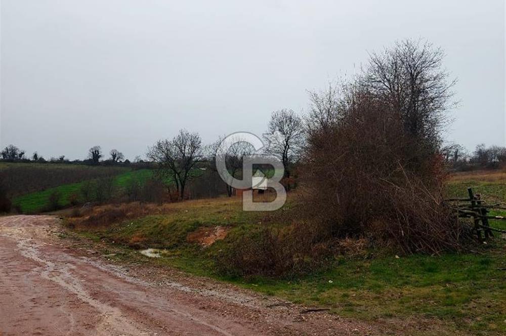 KOCAELİ, KANDIRA, EĞERCİLİ SATILIK YADA KARTAL DA DAİRE TAKASLI