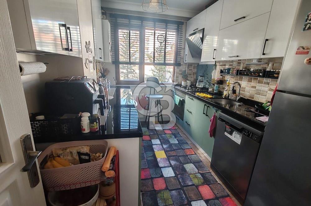 Yenidoğan safa Mah. 3+1 Arakat sa