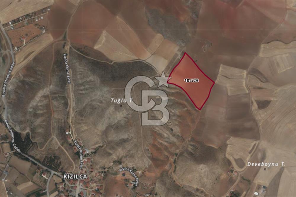 CB VİZYON BÜŞRA ERGÜL DEN ÇUBUK KIZILCA DA SATILIK TARLA