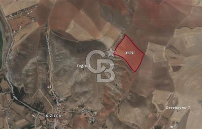 CB VİZYON BÜŞRA ERGÜL DEN ÇUBUK KIZILCA DA SATILIK TARLA