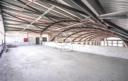 Deliklikaya Teskoop Özel Endüstri 10.000m² Kiralık Fabrika Depo