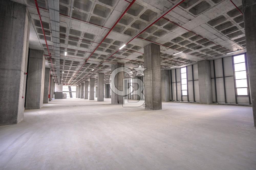 Deliklikaya Teskoop Özel Endüstri 10.000m² Kiralık Fabrika Depo