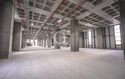 Deliklikaya Teskoop Özel Endüstri 10.000m² Kiralık Fabrika Depo