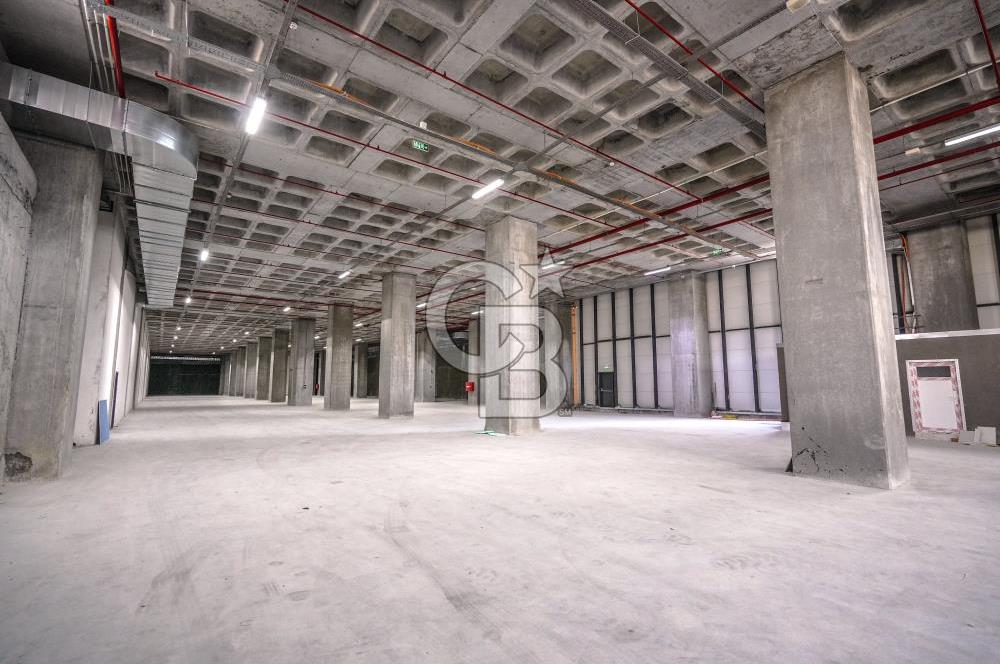 Deliklikaya Teskoop Özel Endüstri 10.000m² Kiralık Fabrika Depo