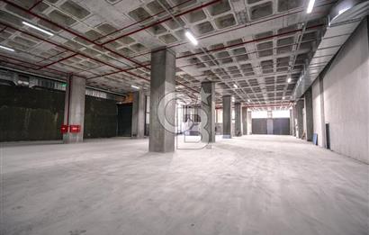 Deliklikaya Teskoop Özel Endüstri 10.000m² Kiralık Fabrika Depo