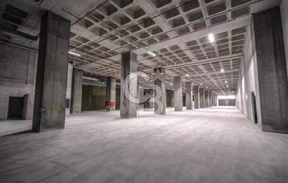 Deliklikaya Teskoop Özel Endüstri 10.000m² Kiralık Fabrika Depo