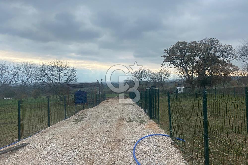 COLDWELL BANKER OFİS’DEN ÜÇPINAR’DA SATILIK TARLA