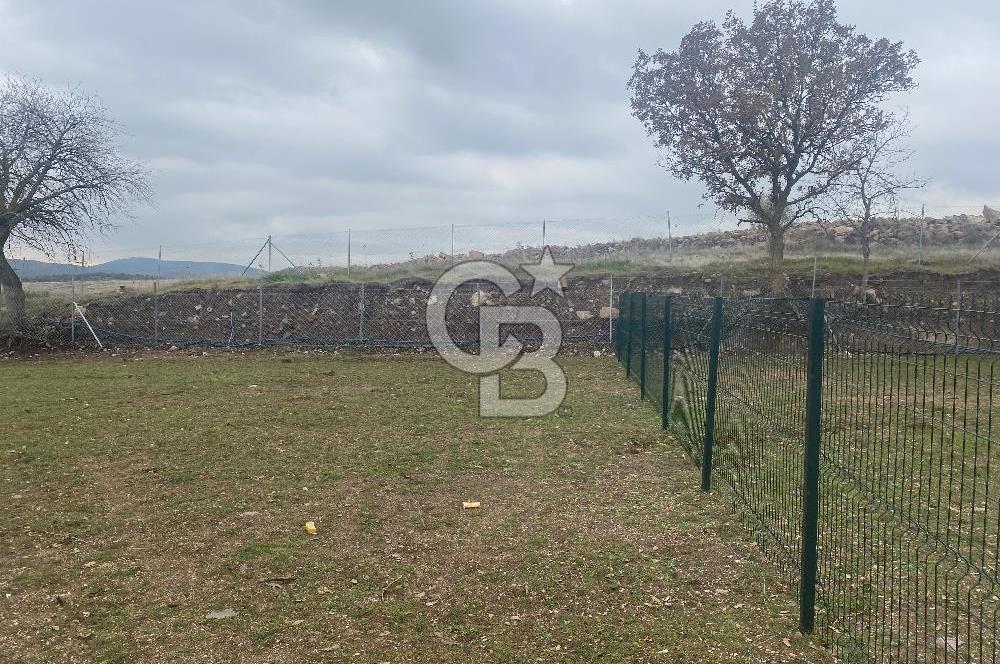 COLDWELL BANKER OFİS’DEN ÜÇPINAR’DA SATILIK TARLA