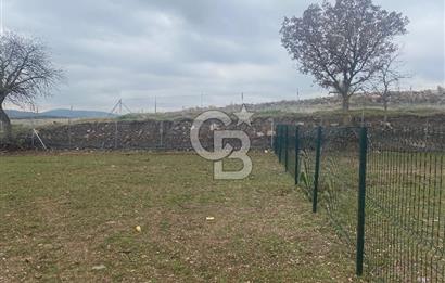 COLDWELL BANKER OFİS’DEN ÜÇPINAR’DA SATILIK TARLA