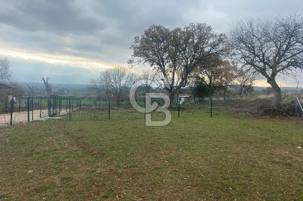 COLDWELL BANKER OFİS’DEN ÜÇPINAR’DA SATILIK TARLA