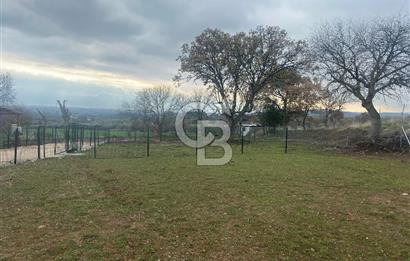 COLDWELL BANKER OFİS’DEN ÜÇPINAR’DA SATILIK TARLA