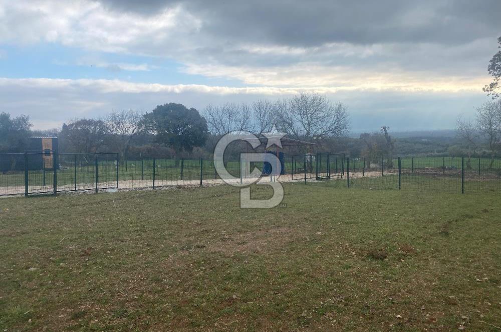 COLDWELL BANKER OFİS’DEN ÜÇPINAR’DA SATILIK TARLA