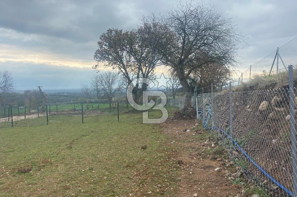 COLDWELL BANKER OFİS’DEN ÜÇPINAR’DA SATILIK TARLA