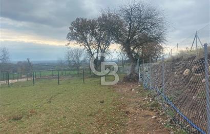 COLDWELL BANKER OFİS’DEN ÜÇPINAR’DA SATILIK TARLA