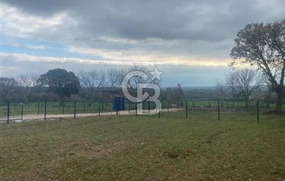 COLDWELL BANKER OFİS’DEN ÜÇPINAR’DA SATILIK TARLA