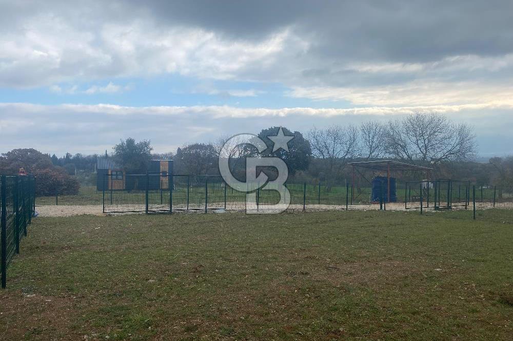 COLDWELL BANKER OFİS’DEN ÜÇPINAR’DA SATILIK TARLA