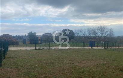 COLDWELL BANKER OFİS’DEN ÜÇPINAR’DA SATILIK TARLA