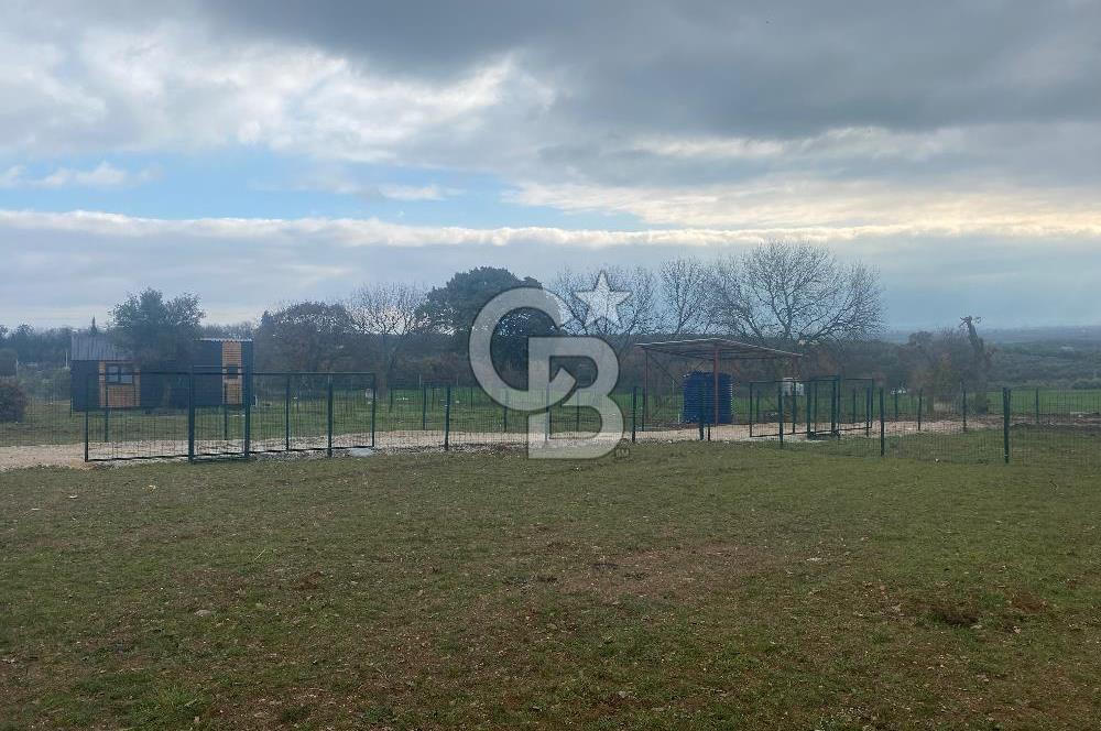 COLDWELL BANKER OFİS’DEN ÜÇPINAR’DA SATILIK TARLA